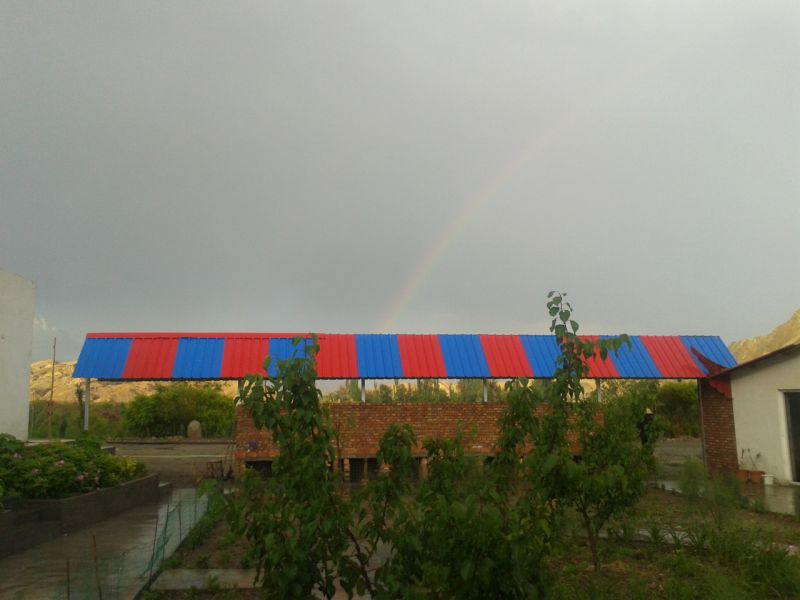 035142jcn3m684c72tc882.jpg