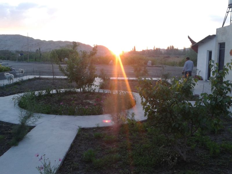 20200327_063800_338.jpg