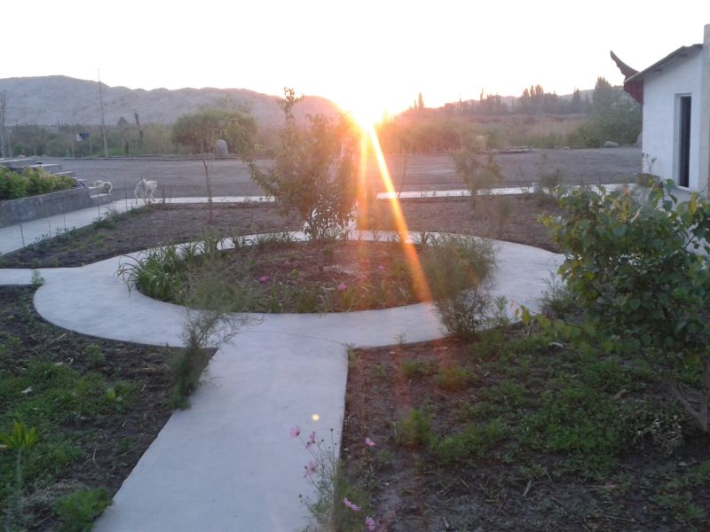 20200327_063800_408.jpg