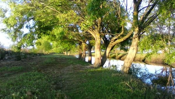 20210318_101611_049.jpg