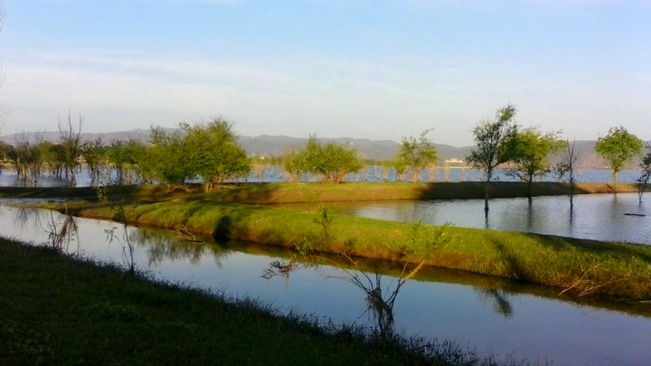 20210318_101611_050.jpg