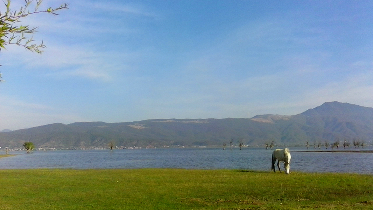 20210318_101611_051.jpg