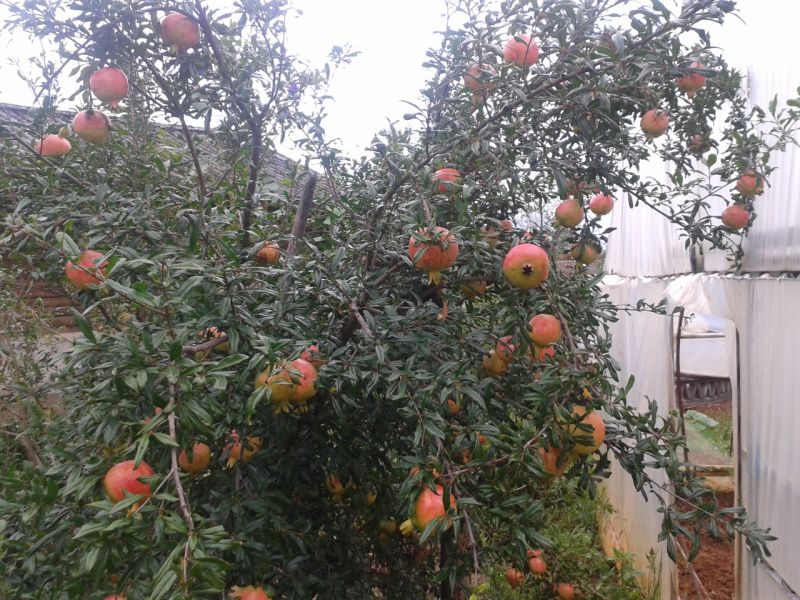 20210322_111324_115.jpg