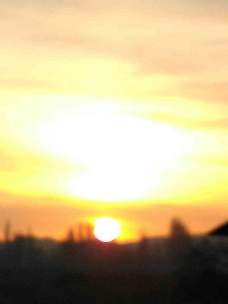 20200327_074644_852.jpg