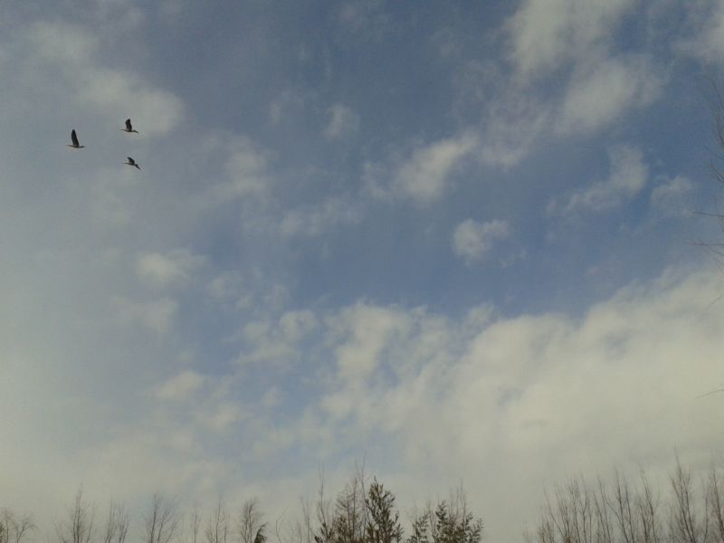 20200324_073949_654.jpg