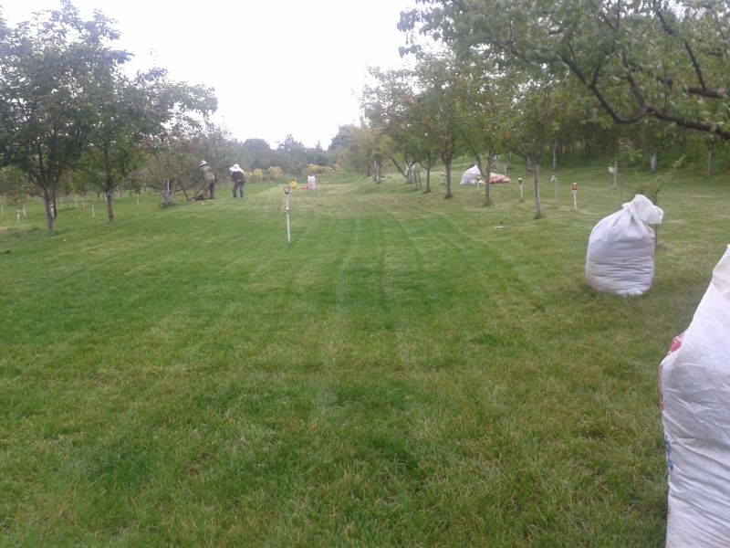 20200320_113851_2158.jpg