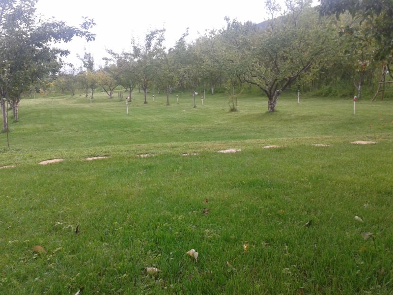 20200320_113851_2162.jpg