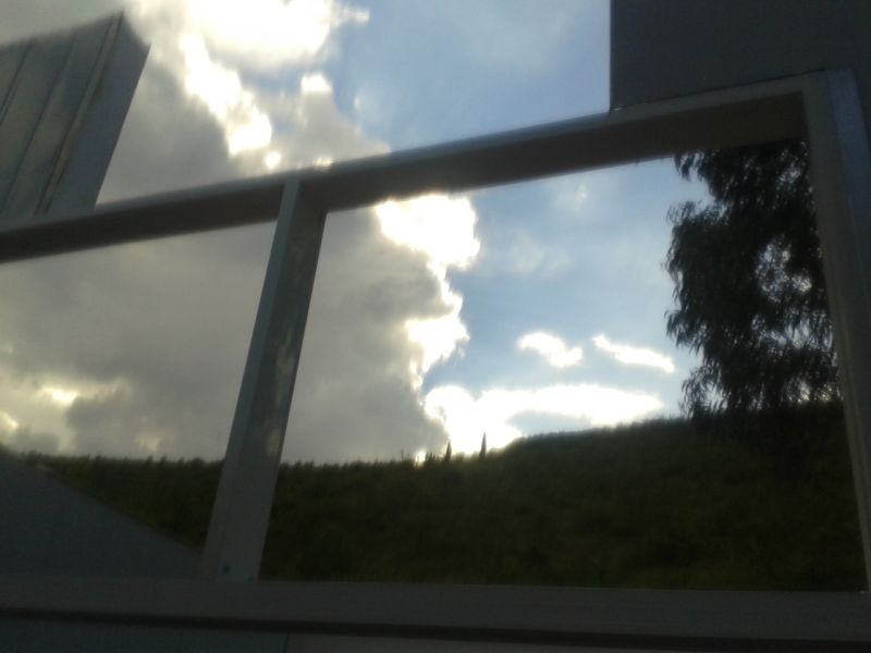 20200325_072446_1612.jpg
