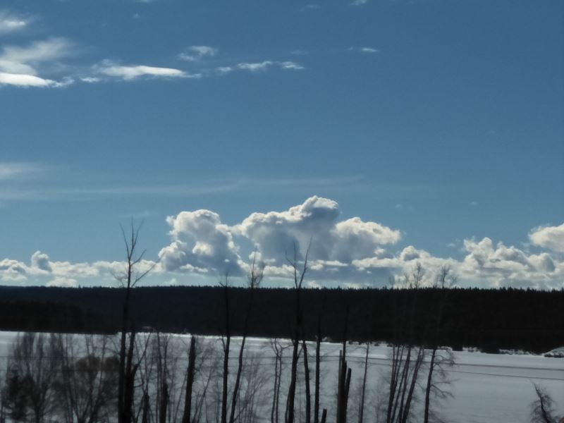 20200313_142016_1774.jpg