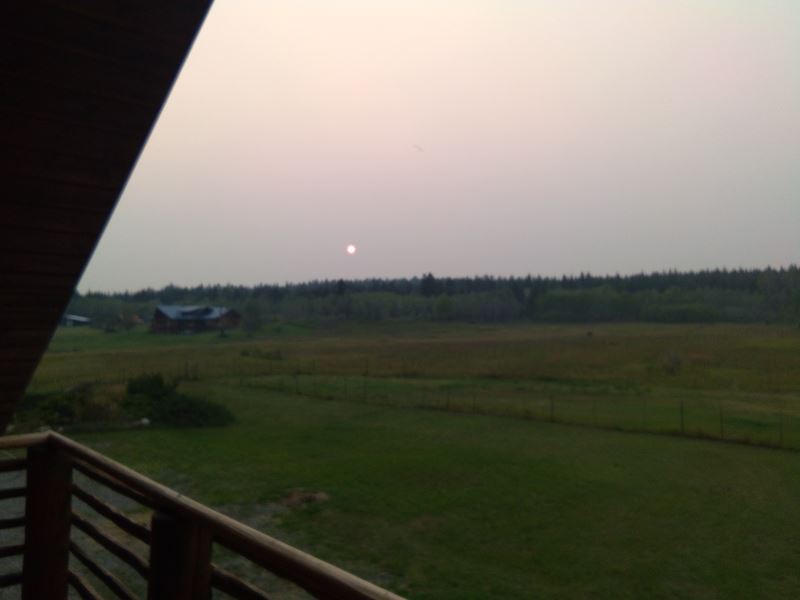 20200313_133151_1038.jpg