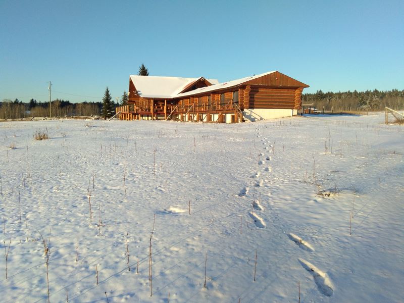 20200313_121600_428.jpg