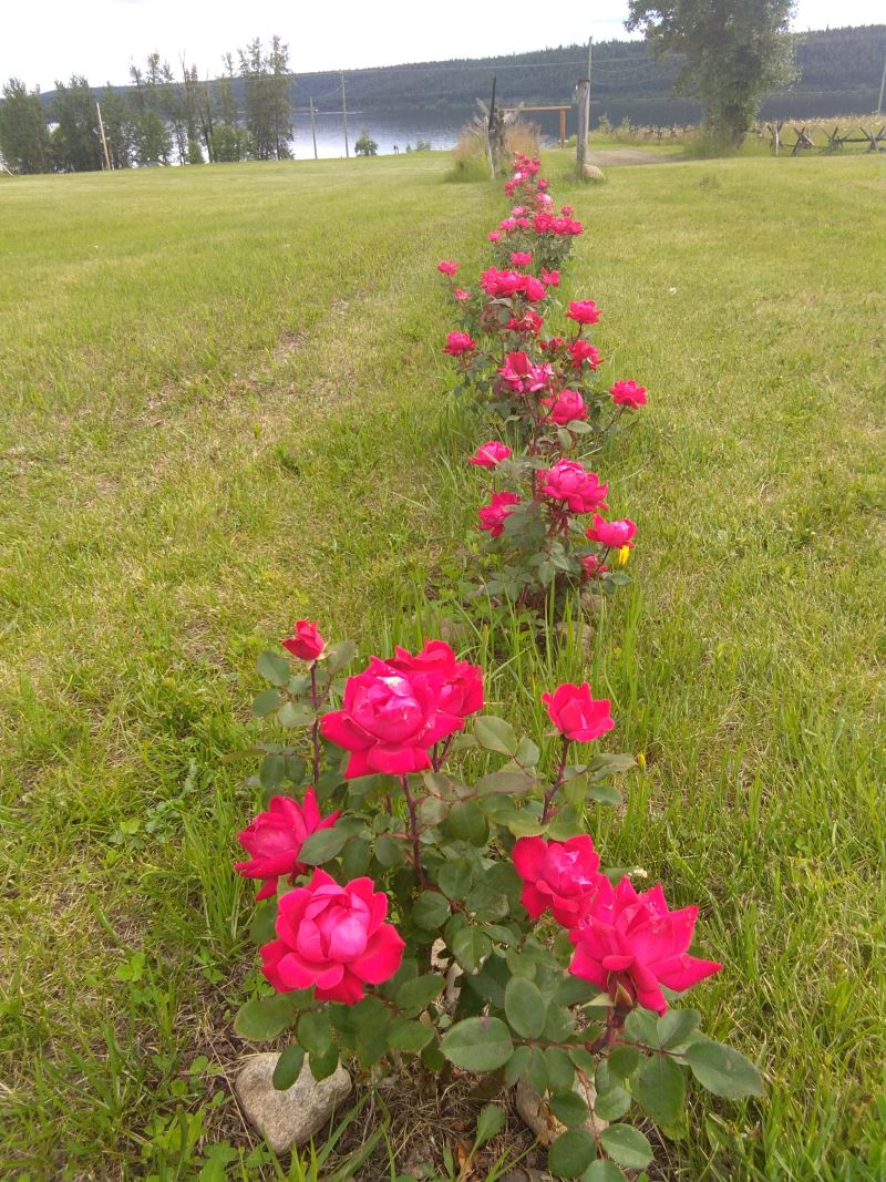 20200721_082837_010.jpg
