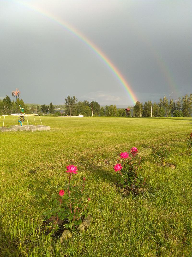 20200714_092806_006.jpg