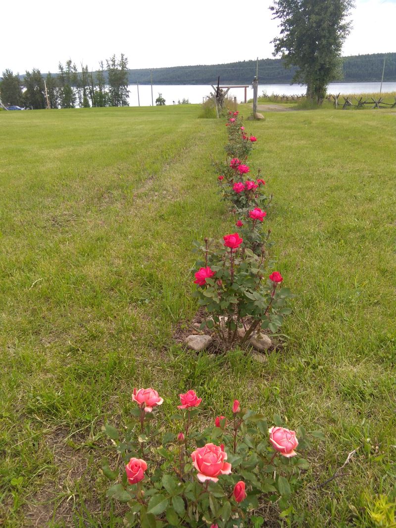 20200714_092806_015.jpg
