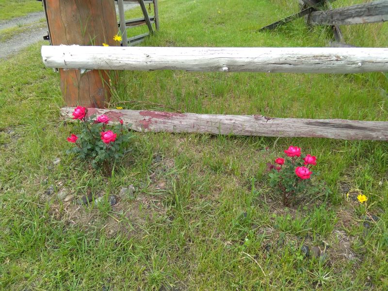 20200714_092806_017.jpg