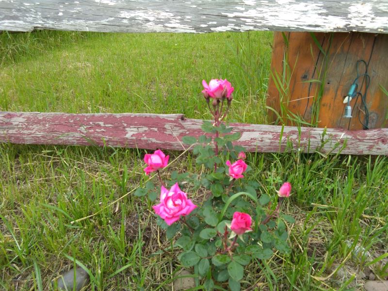 20200714_092806_020.jpg