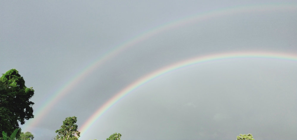 20200628_094018_191.jpg
