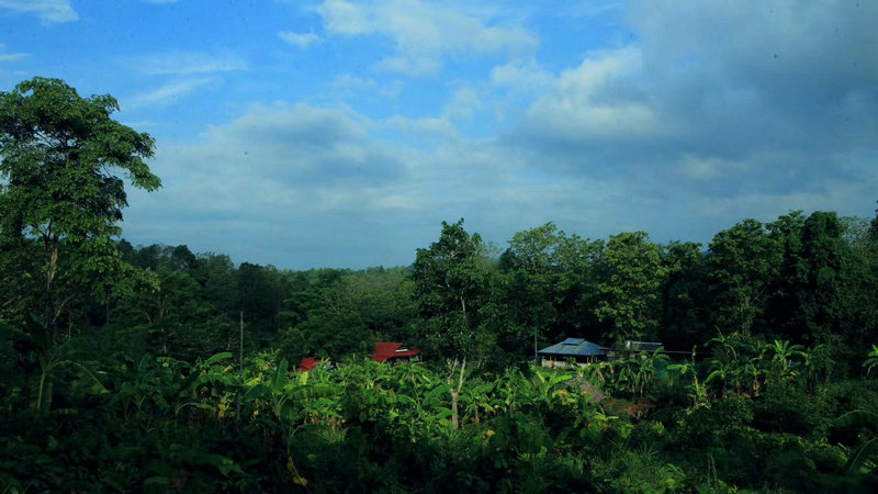 20200705_121028_095.jpg