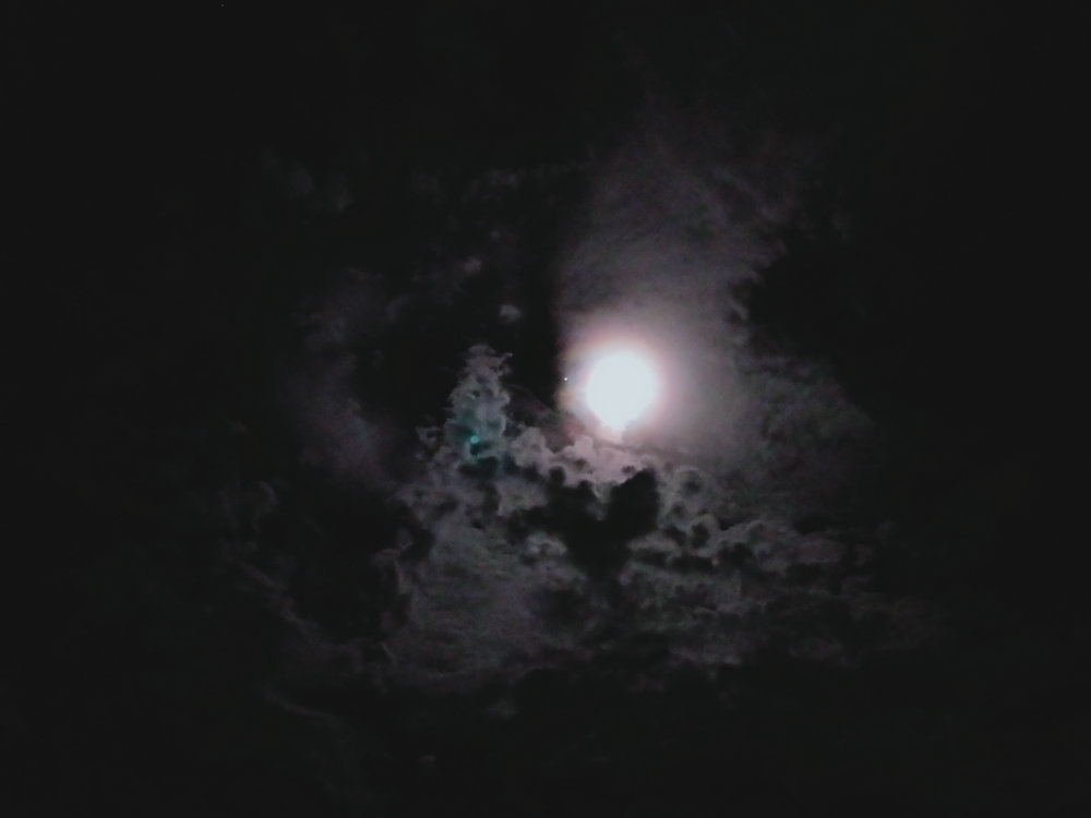 20200723_083615_059.jpg