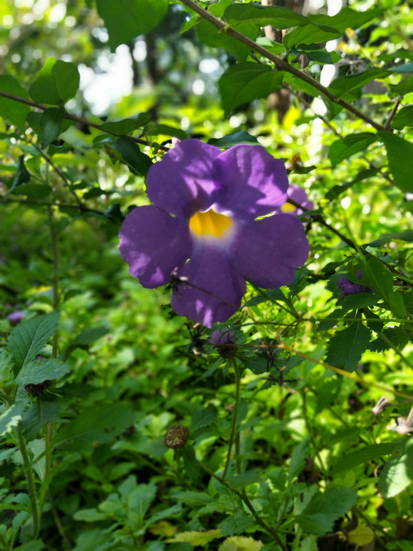 20200902_072113_058.jpg