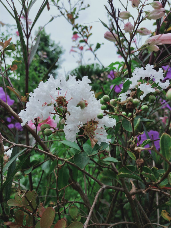 20200818_080936_201.jpg