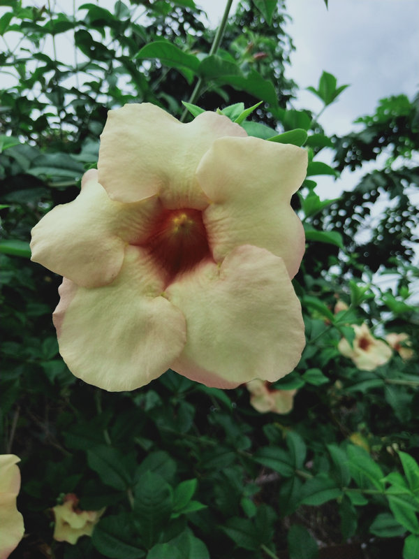 20200818_080936_229.jpg