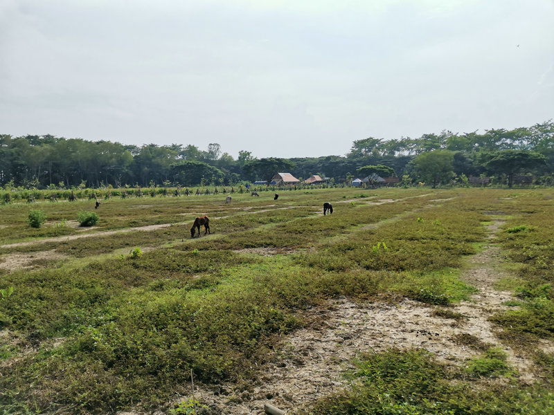 20200906_084656_019.jpg