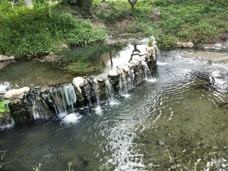 20200906_084656_022.jpg