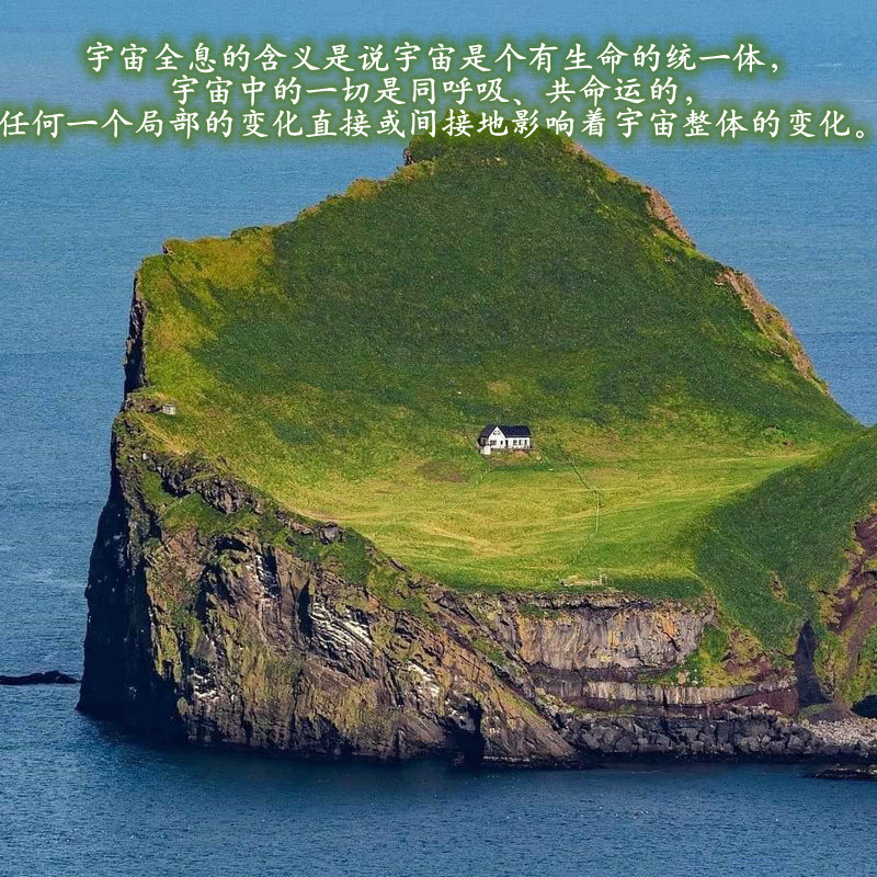 ytwsh2.jpg