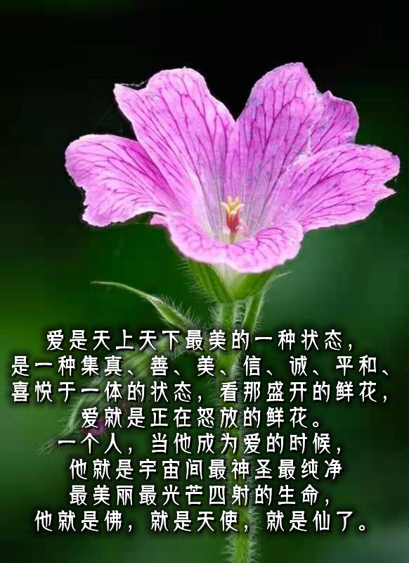 ytwsh80.jpg