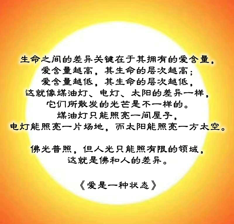 ytwsh119.jpg