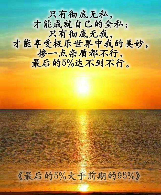 ytwsh127.jpg