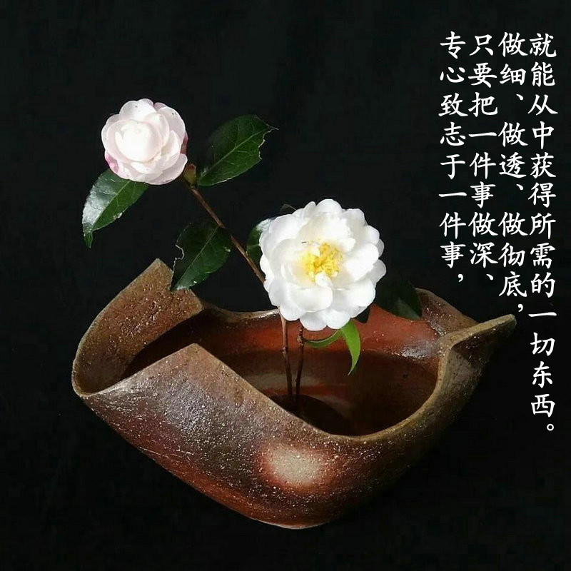 ytwsh129.jpg