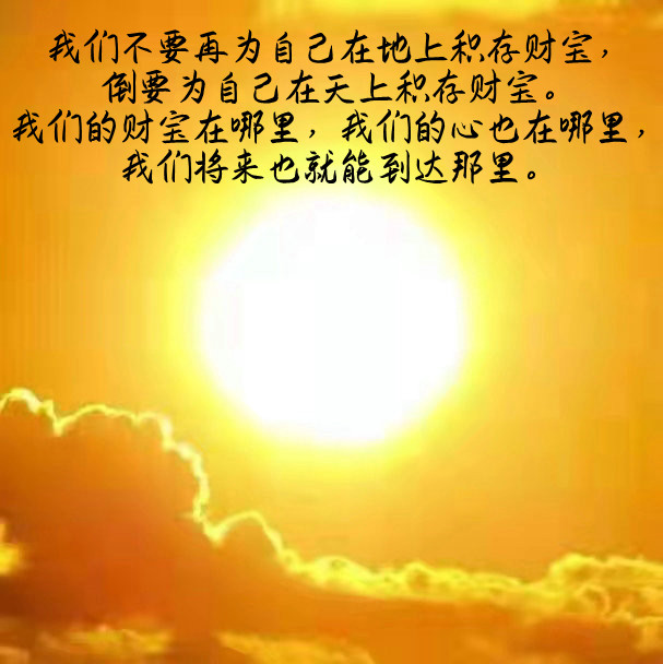 ytwsh169.jpg