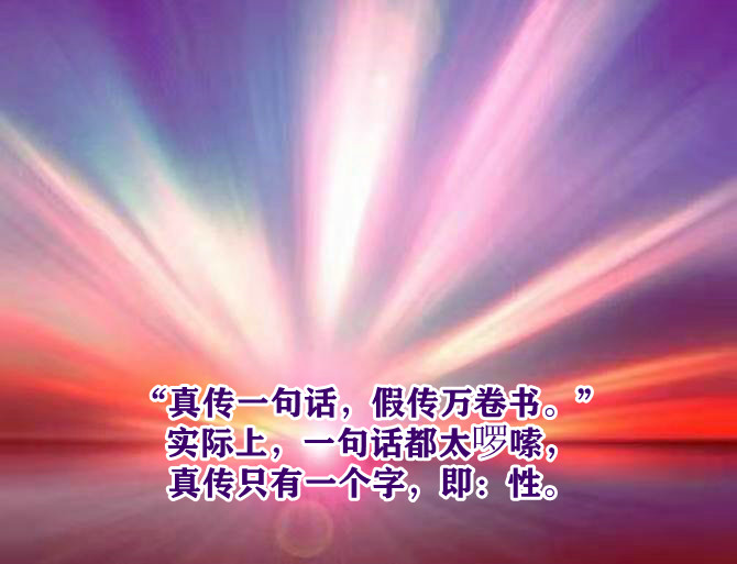 ytwsh174.jpg