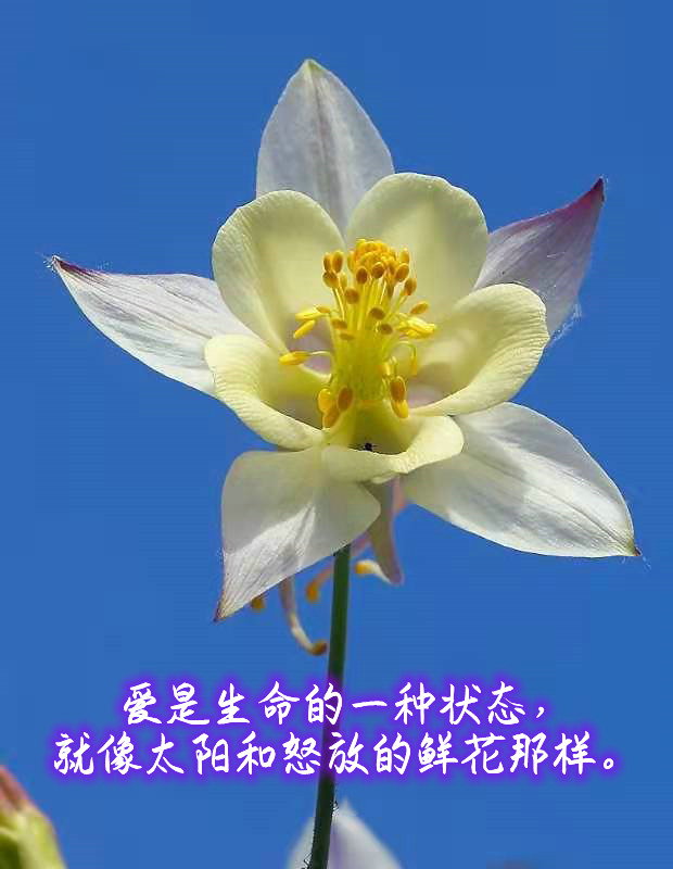 ytwsh191.jpg