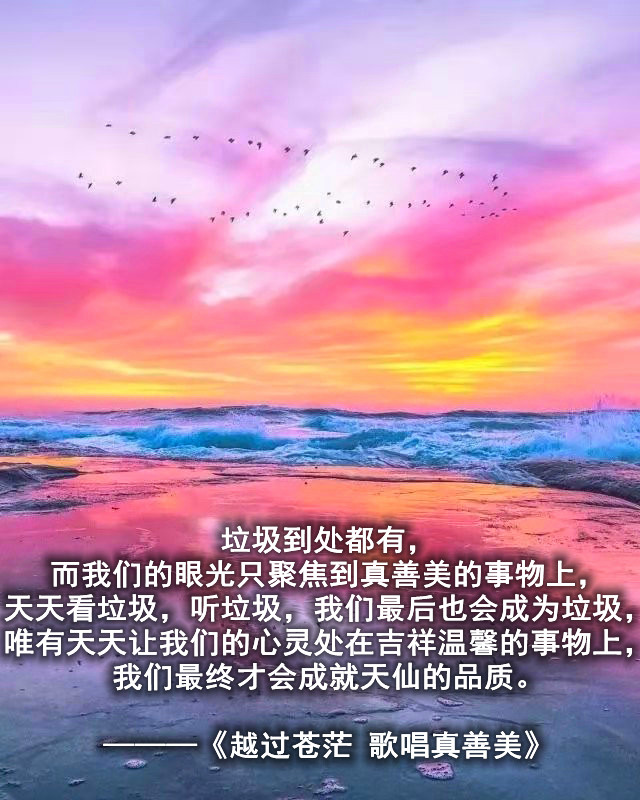 ytwsh202.jpg