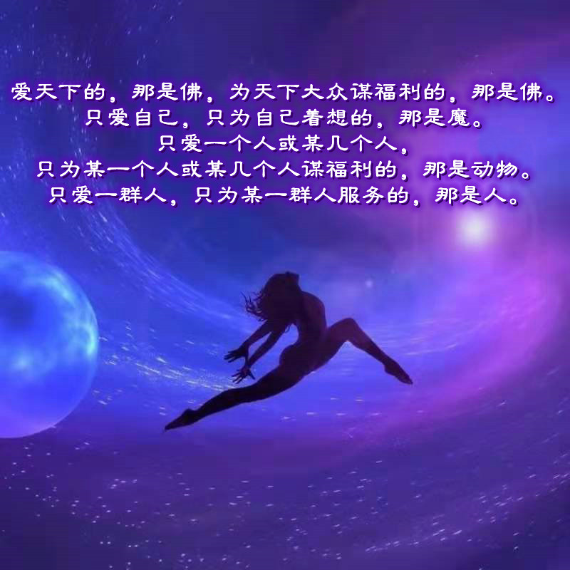 ytwsh205.jpg