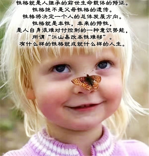 ytwsh209.jpg