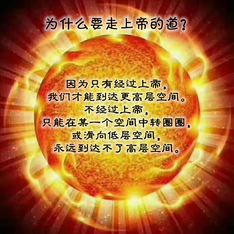 ytwsh213.jpg