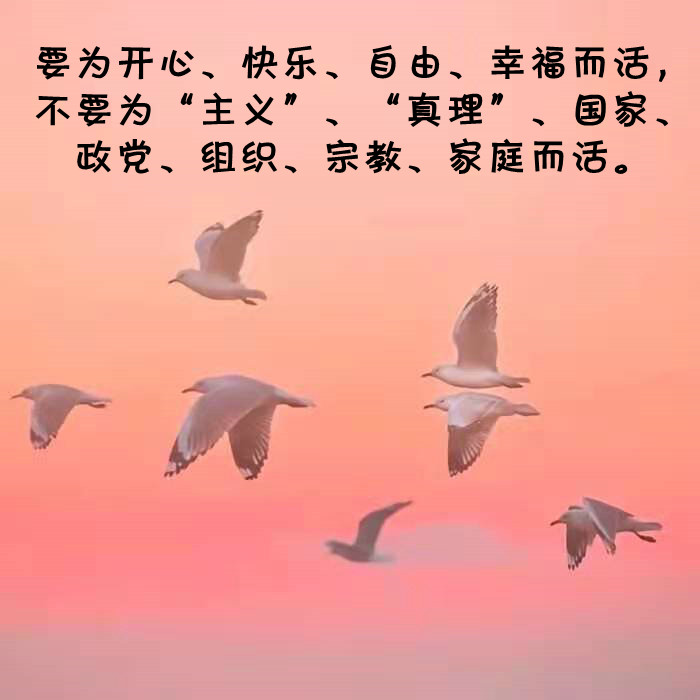 ytwsh216.jpg