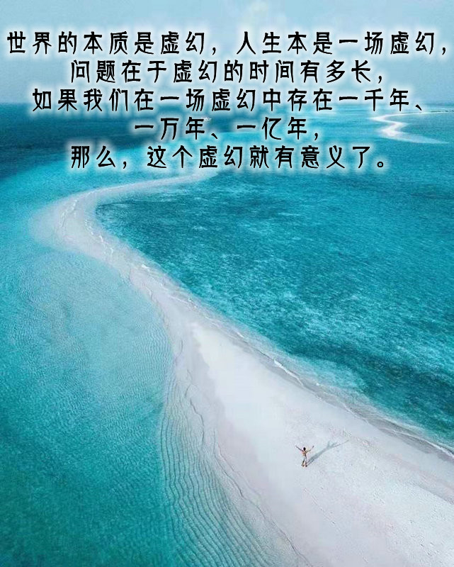 ytwsh217.jpg