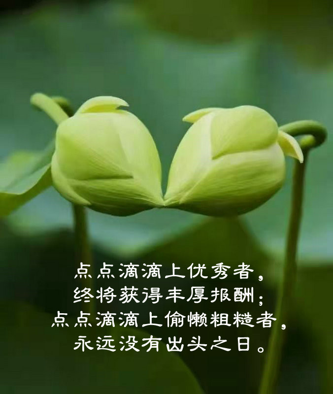 ytwsh219.jpg