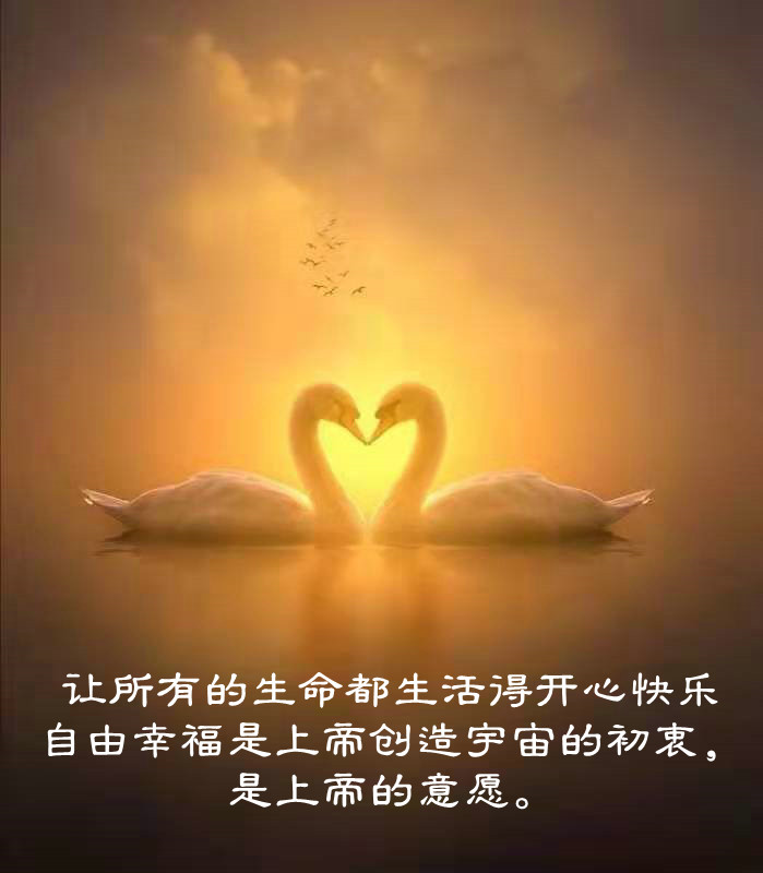 ytwsh222.jpg