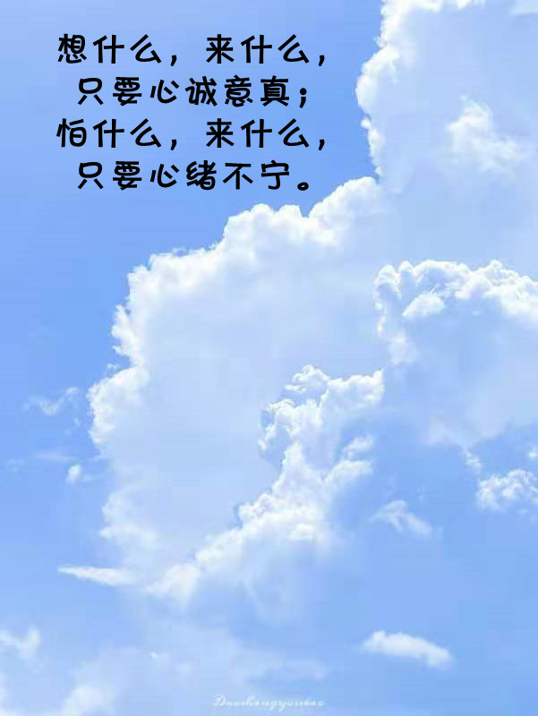 ytwsh227.jpg
