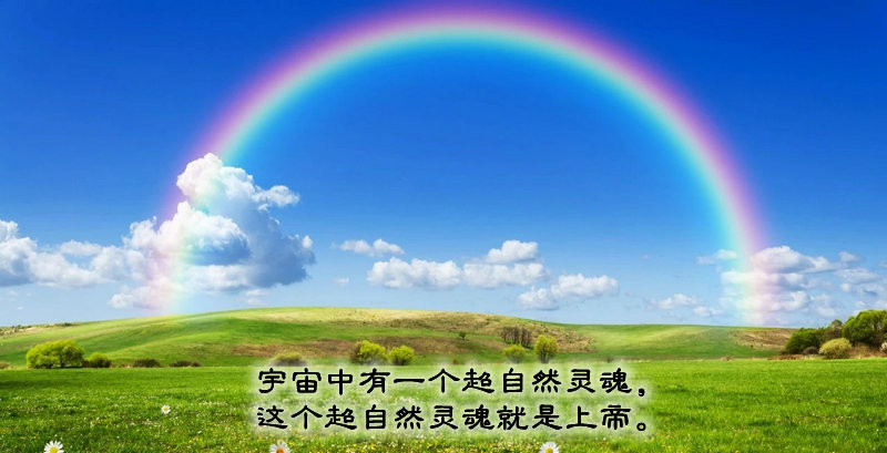 ytwsh229.jpg