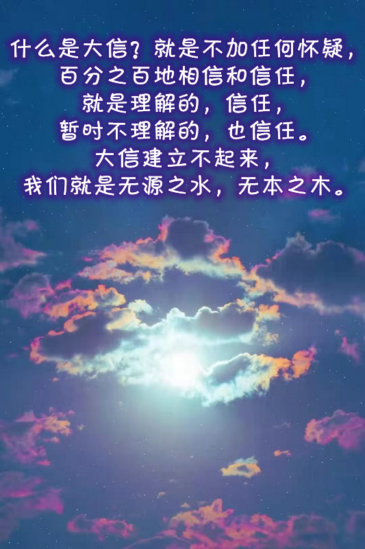 ytwsh236.jpg