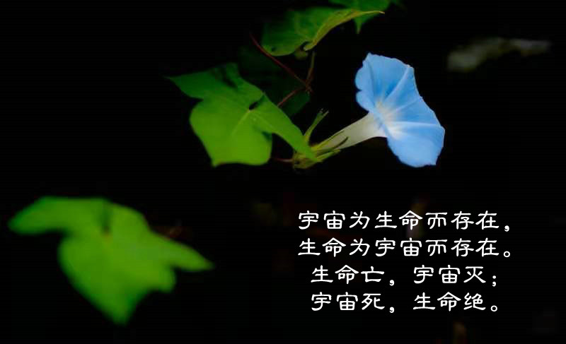 ytwsh244.jpg