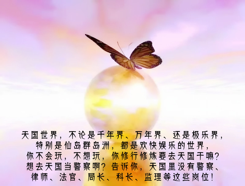 ytwsh261.jpg