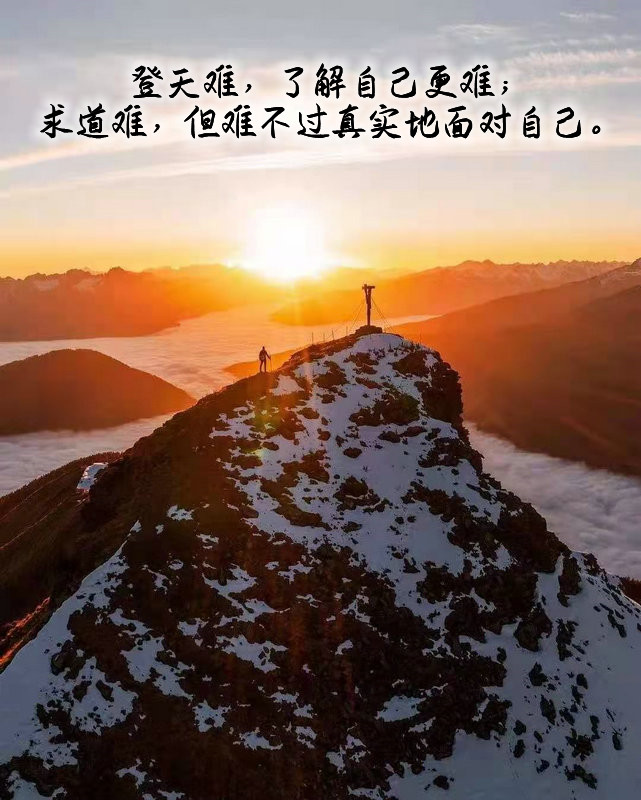 ytwsh268.jpg